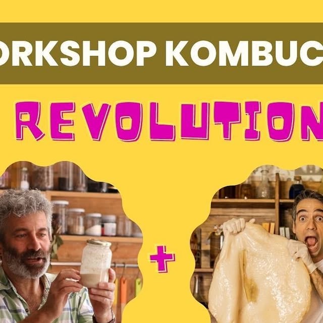 workshop Kombucha Revolution