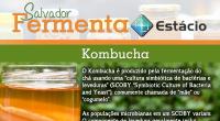 Salvador Fermenta